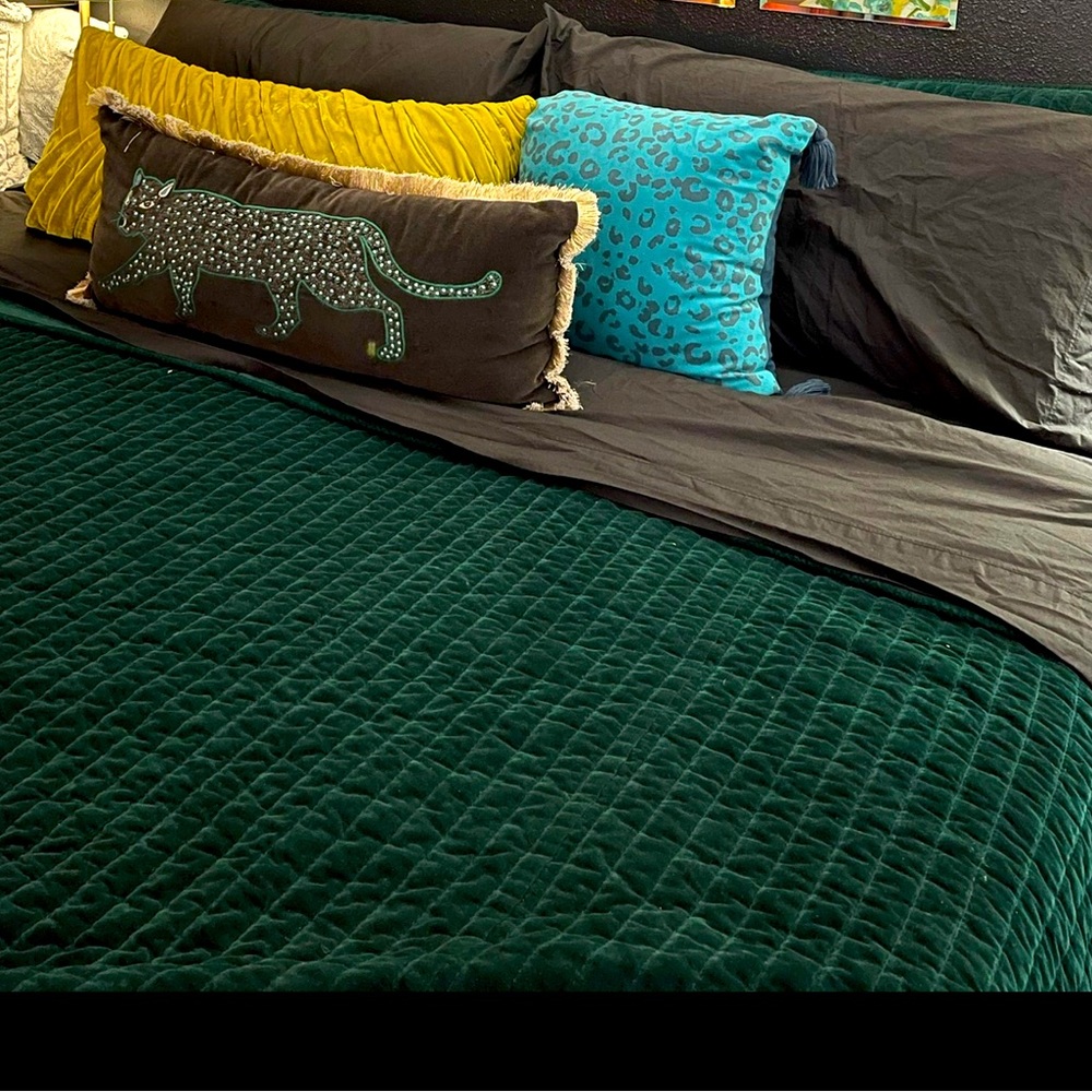 Pier 1 Atwood Velvet quilt and sham set in Forest Green King size.